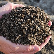 pumice conditioned garden soil