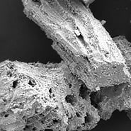 50x magnification photo of pumice dust