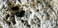 close up of the surface of a frothy pumice stone