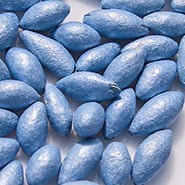 cucumber crop seeds in a shaping coating of powdered pumice